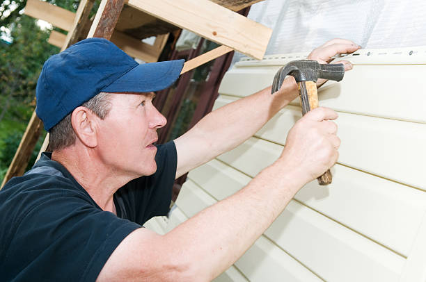 Best Custom Siding Design  in Naples, UT