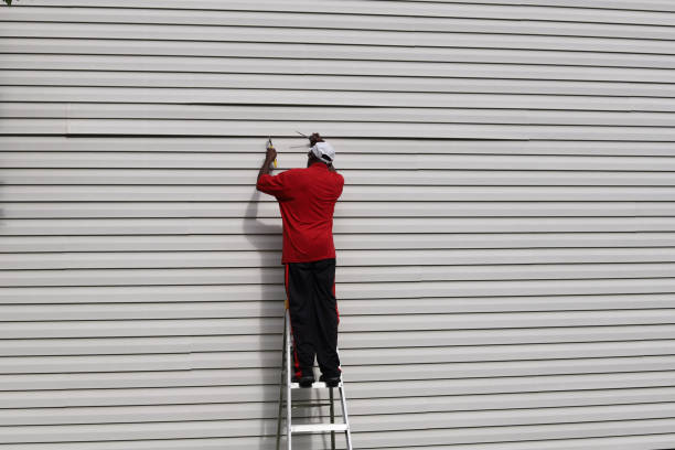 Best Aluminum Siding Installation  in Naples, UT
