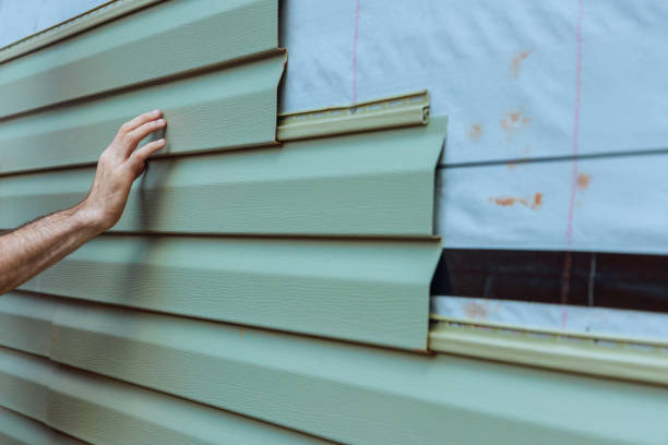 Best Vinyl Siding Installation  in Naples, UT